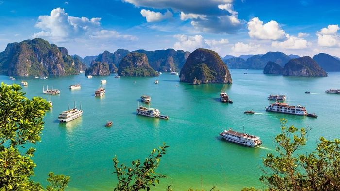 Hình ảnh Vịnh Hạ Long đẹp chất lượng 4K sắc nét