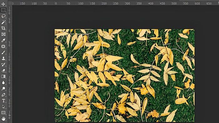 Sử dụng Pattern Photoshop bằng lệnh Fill - bước 4