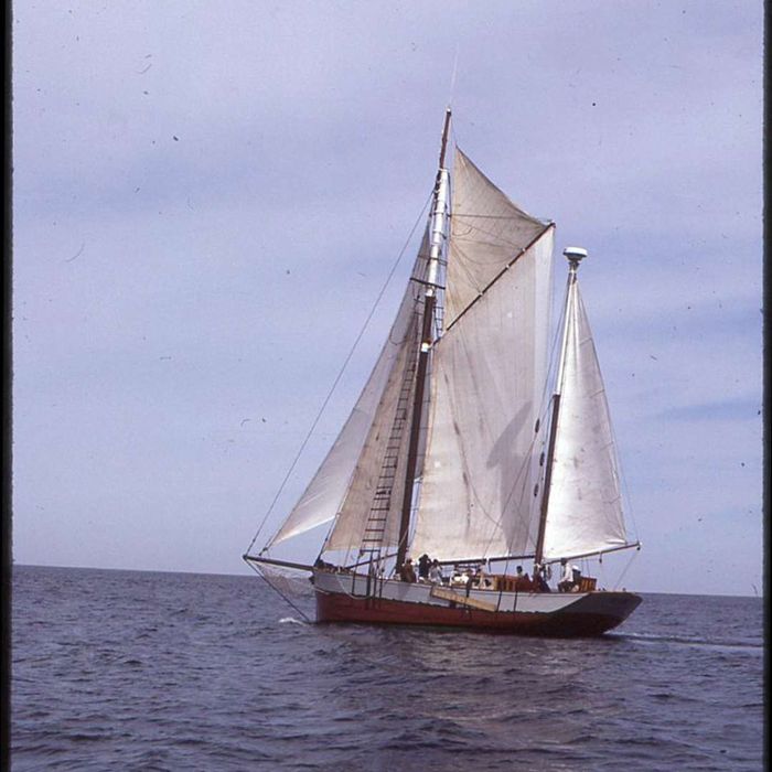 The Mimi sailing in open waters