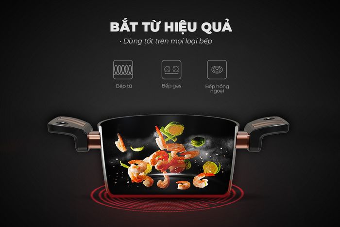 Bộ