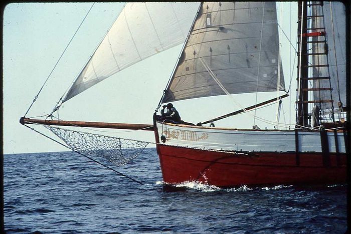 The Mimi sailing at sea.
