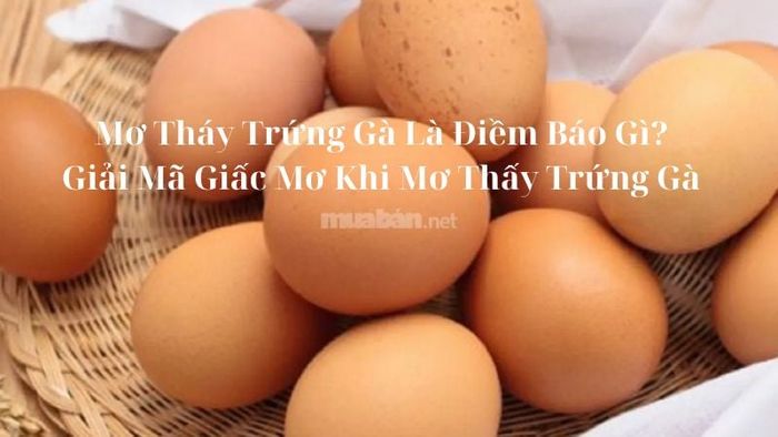Giấc mơ thấy trứng gà có ý nghĩa gì? Giải mã chi tiết giấc mơ về trứng gà