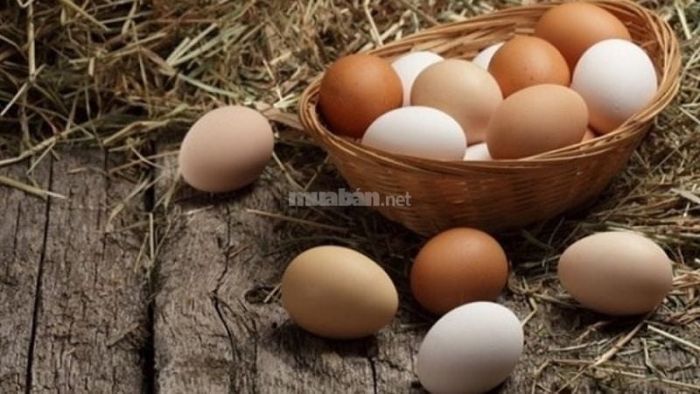 Giấc mơ thấy trứng gà mang điềm báo gì?