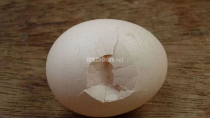 Giấc mơ thấy trứng gà bị nứt