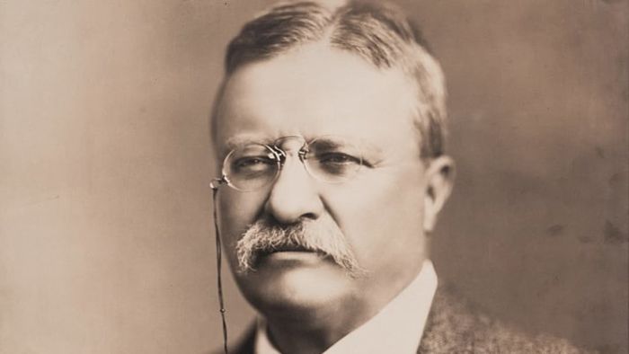 Portrait of Theodore Roosevelt, circa 1918.