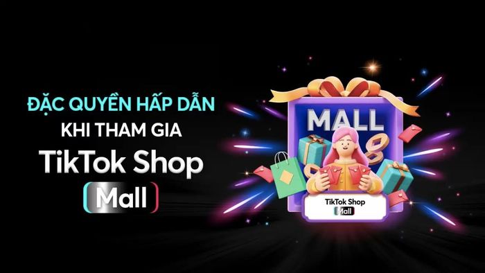 TikTok Shop Mall là gì?