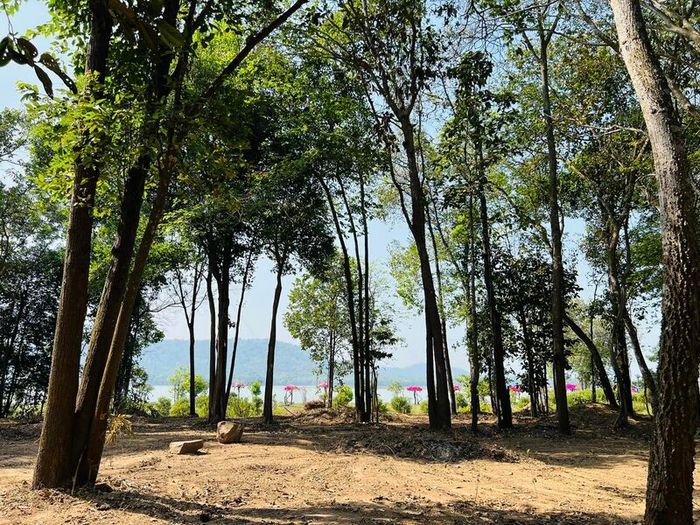 Bằng Lăng Glamping, điểm dã ngoại đầy phong cách bên hồ Dầu Tiếng