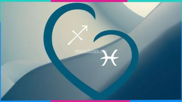 Các cung hoàng đạo không hợp với Nhân Mã