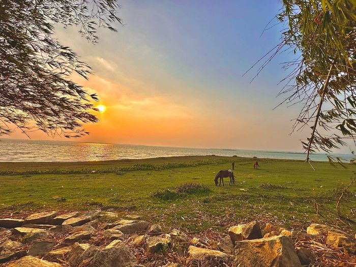 Bằng Lăng Glamping, điểm dã ngoại đầy phong cách bên hồ Dầu Tiếng