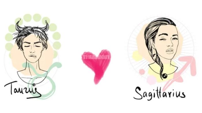 Các cung hoàng đạo không hợp với Nhân Mã