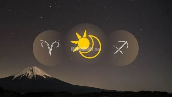 Cung hoàng đạo phù hợp với Nhân Mã trong tình bạn