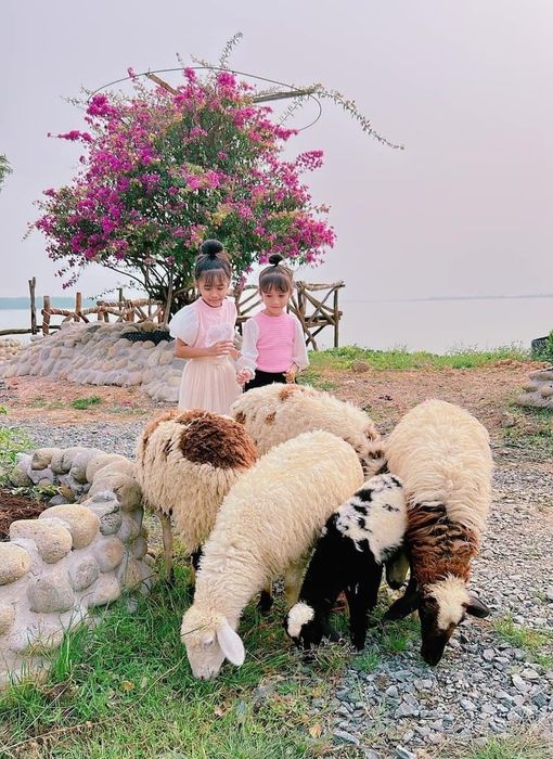 Bằng Lăng Glamping, điểm dã ngoại đầy phong cách bên hồ Dầu Tiếng