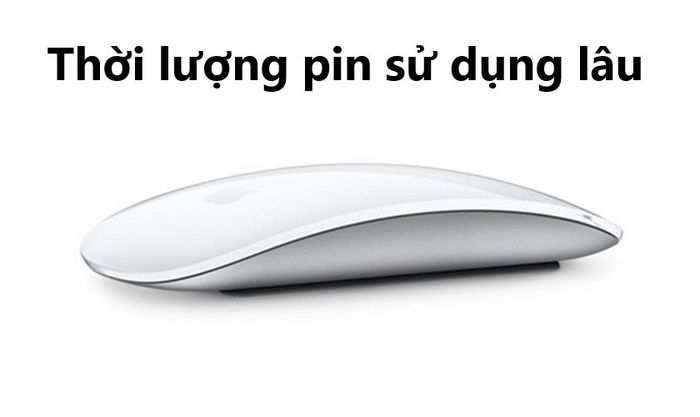 Chuột