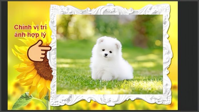 Hướng dẫn tạo Clipping Mask trong Photoshop bằng Magic Wand Tool - bước 1