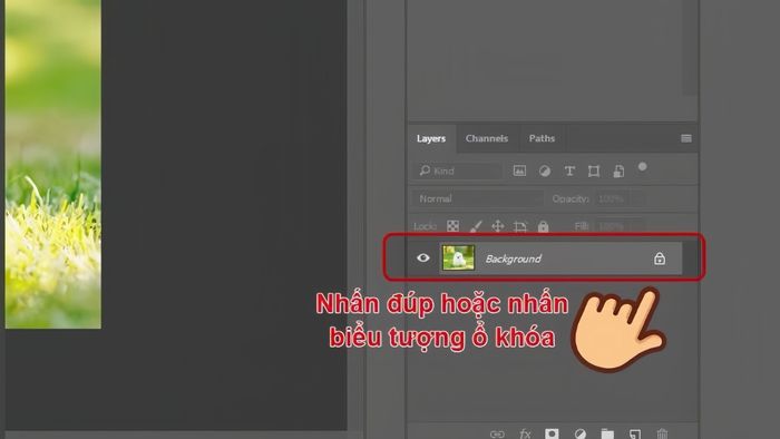 Hướng dẫn tạo Clipping Mask trong Photoshop bằng Marquee Tool - bước 1