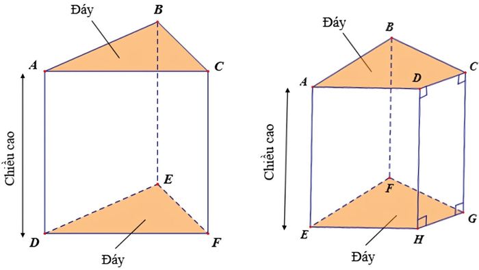 Sự khác biệt giữa lăng trụ đứng và lăng trụ đều