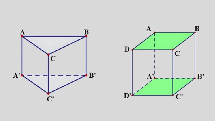 Cạnh bên của lăng trụ tam giác đều và tứ giác đều là hình gì?