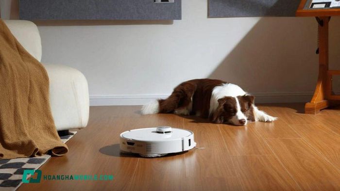 may-hut-bui-gia-dinh-8