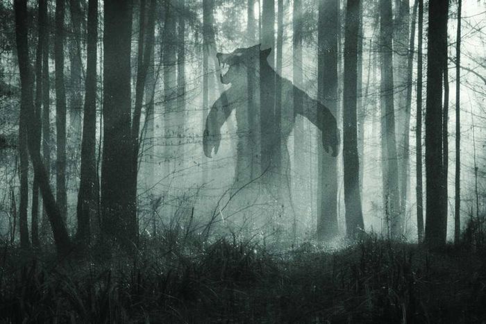 A werewolf-like figure lurking in a forest