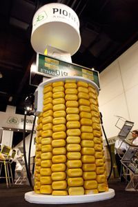 Corn kernels are used to decorate a fuel pump at the Pioneer exhibit, promoting ethanol fuel during the International Fuel Ethanol Workshop & Expo at the Colorado Convention Center in Denver on June 17, 2009.