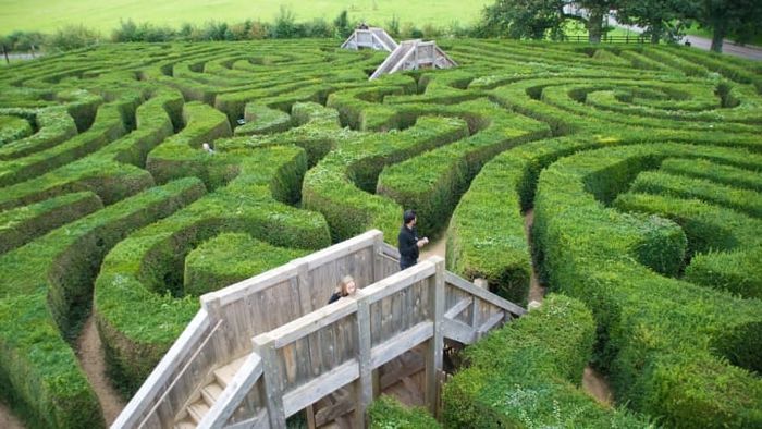 The iconic Longleat hedge maze