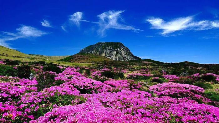 cảnh đẹp Hàn Quốc với núi rừng hùng vĩ