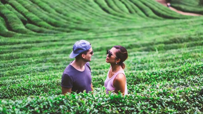 cảnh đẹp Hàn Quốc tươi mới và tràn đầy sức sống