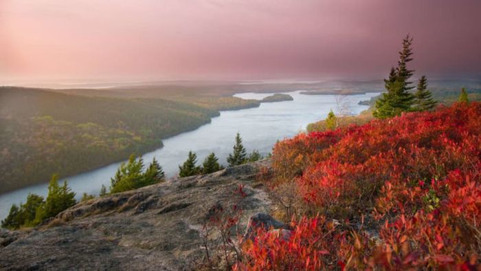 The scenic Beach Mountain Trail within Acadia National Park.