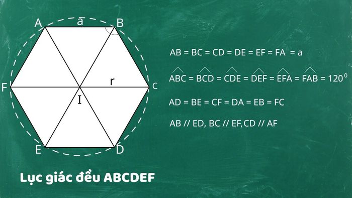 Đặc điểm của hình lục giác đều