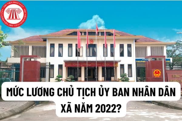 Mức lương của Chủ tịch Ủy ban nhân dân xã trong năm 2022 là bao nhiêu? Các tiêu chuẩn để đảm nhận vị trí Chủ tịch Ủy ban nhân dân xã là gì?