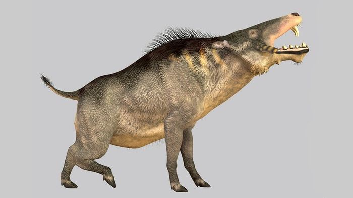 entelodont
