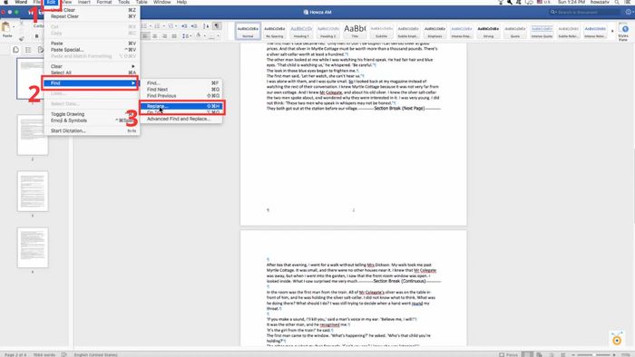 Xóa Section Break riêng lẻ trên Macbook bước 1 (Hình minh họa)