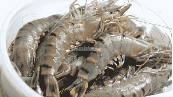Giải mã ý nghĩa của các giấc mơ về tôm