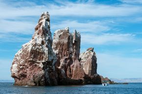 The Los Islotes islands are blanketed in bird droppings.