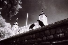 Two ravens perch on the stone wall of the Tower of London.