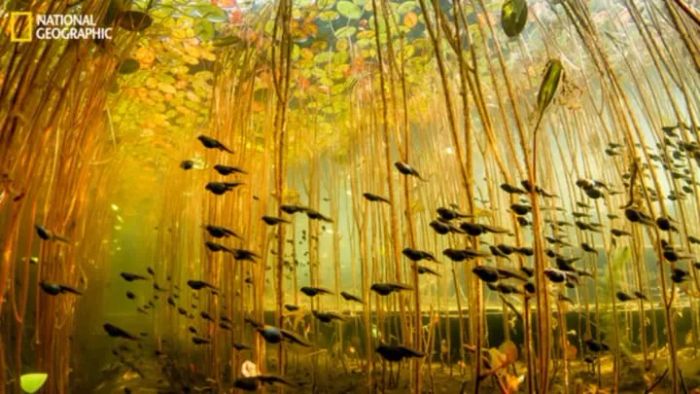 Eiko Jones/National Geographic Your Shot
