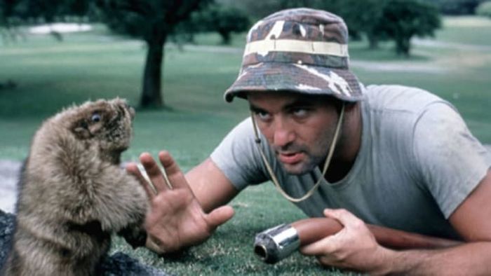 Bill Murray's iconic role in Caddyshack (1980).