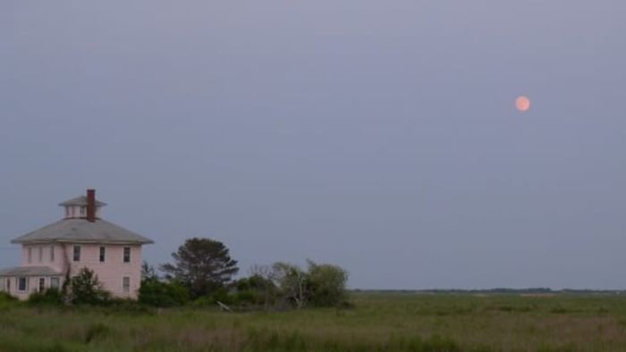 The isolated Plum Island Spite House, with no neighbors in sight.