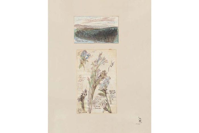 LANDSCAPE OF OOTACAMUND, EDWARD LEAR. COURTESY HOUGHTON LIBRARY, HARVARD UNIVERSITY, CAMBRIDGE, M.A.