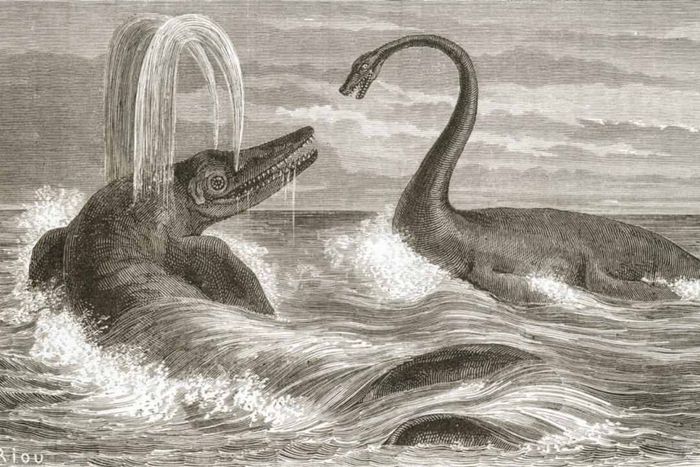 THE ICHTHYOSAUR AND THE PLESIOSAUR (LIAS PERIOD), EDOUARD RIOU;