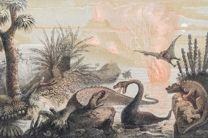 THE PRIMITIVE WORLD
