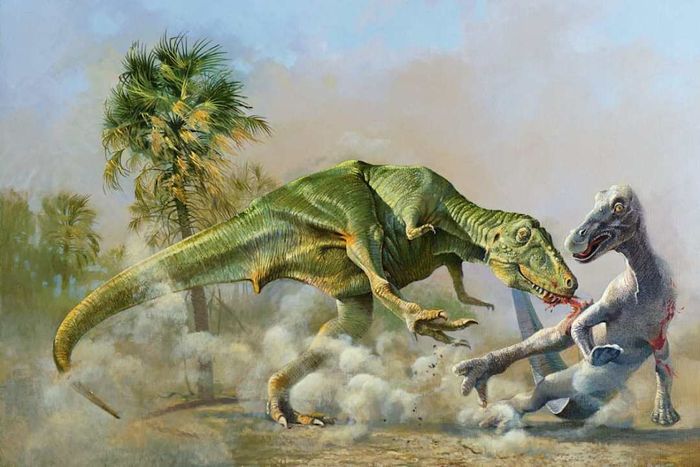 TYRANNOSAURUS AND EDMONTOSAURUS
