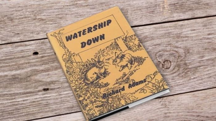 istock (empty book)