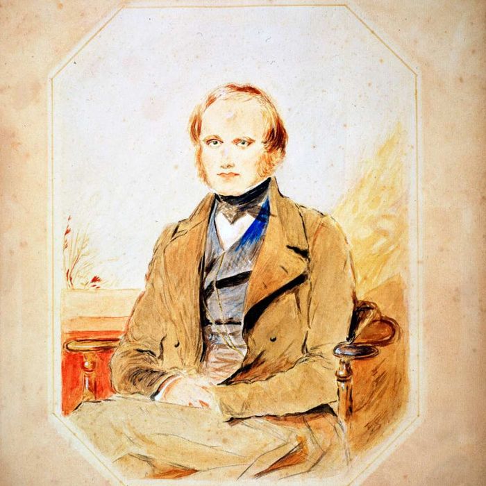 A depiction of Charles Darwin, the English naturalist, in his younger years.