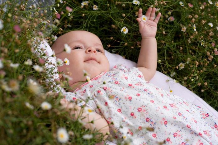 Baby resting in a field of flowers