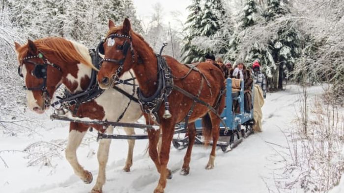 A sleigh relies on animals to push it forward.