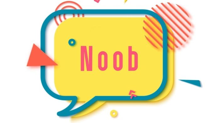 The term 'noob' is one of the many slang expressions that gained popularity during the 1990s.