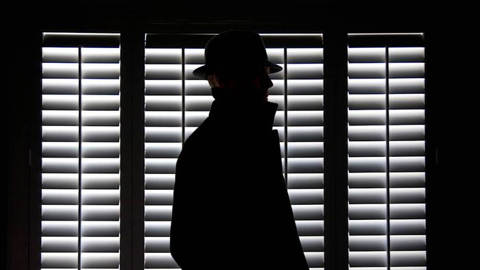 A private detective is shown