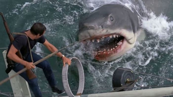 In Steven Spielberg's 1975 classic Jaws, Roy Scheider famously declares the need for a larger vessel.