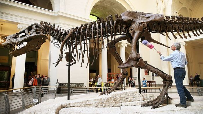 Sue the T. rex